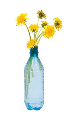 vase of dandelions