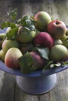 apples,bowl