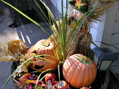 autumn plant barrel