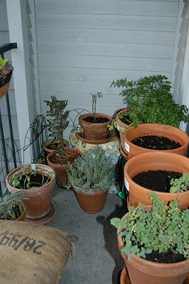 balcony garden