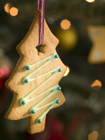 cookie,christmas,ornament