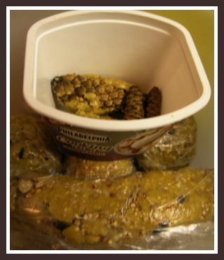 container of suet ball variations