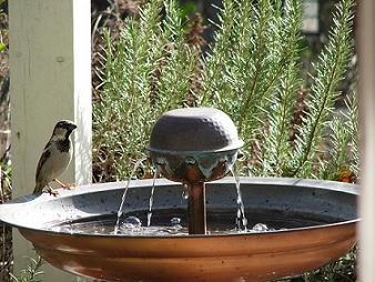 bird,copper-fountain