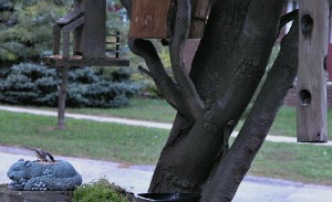 natural wood hanging birdfeeder