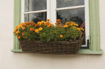 flowerbox