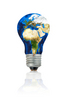 lightbulb,eco-friendly bulb