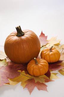 pumpkins,leaves