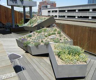 rooftop garden