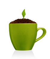 seedling in a cup