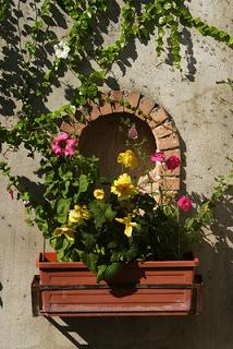 windowbox,flowers