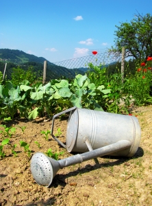 watering can