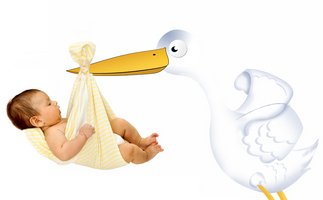 baby brought by the stork