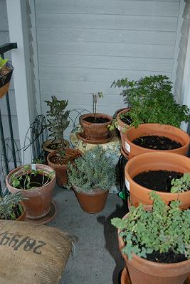 balcony garden balcony garden