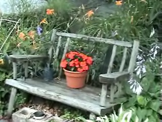 wooden bench wooden bench