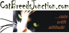 cat breeds junction banner