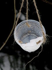 birdfeeder container birdfeeder container