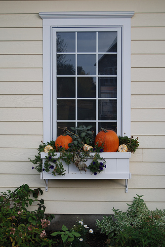 Autumn window-box with pumpkins, flowers