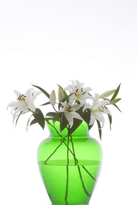 vase,green