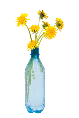 vase of dandelions