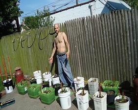 organic planting organic planting