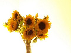 vase of sunflowers