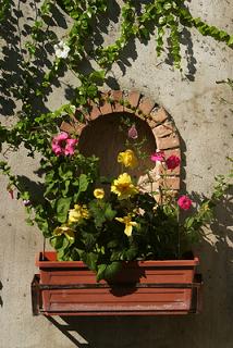windowbox,flowers windowbox,flowers